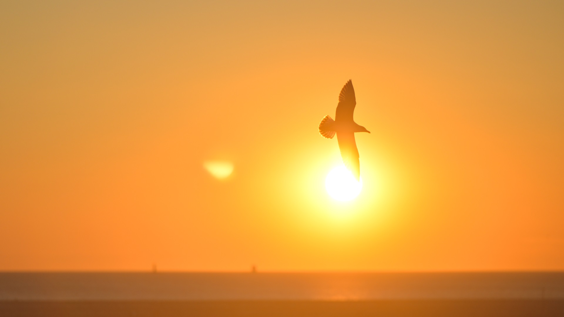 Zenefits Has Its Icarus Moment